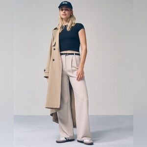 Abercrombie & Fitch Regular Length Sloane Light Taupe Wide-Leg Pants Trousers